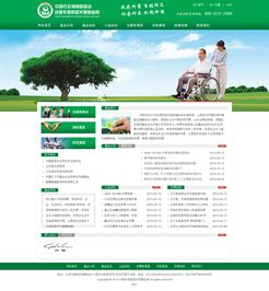 專業(yè)企業(yè)展示型網(wǎng)站建設(shè)，打造北京企業(yè)的數(shù)字名片